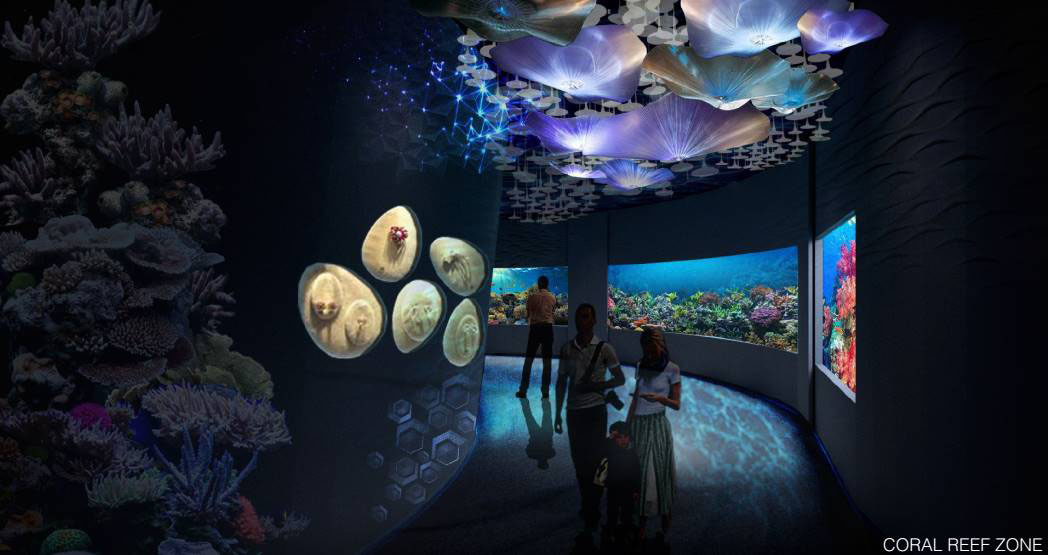 Aquarium corridor